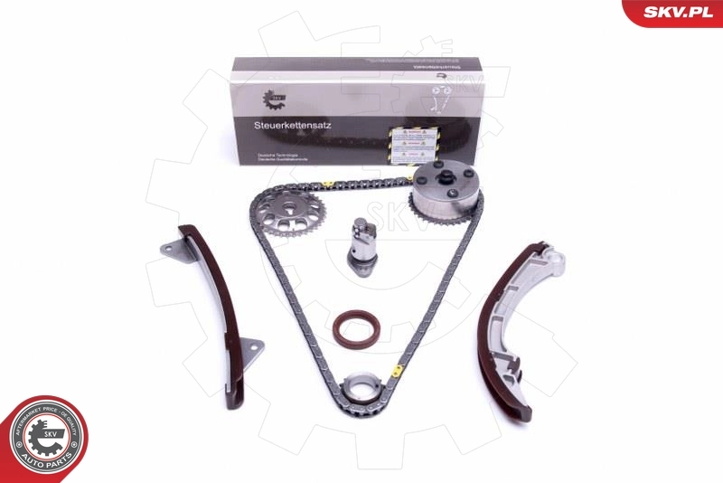 Timing Chain Kit